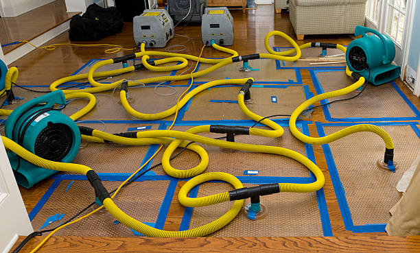 Professional Sewage Cleanup technician working in Wayne, ME